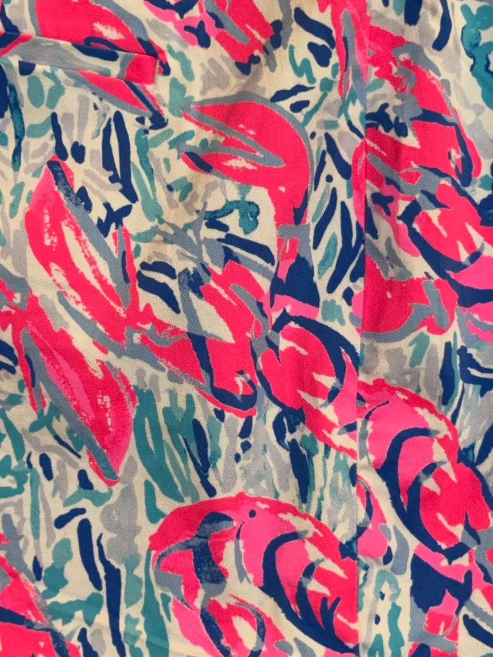 Lilly Pulitzer Hazelle Cosmic Corral Stretch Shorts NWTs Sz. 16